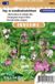 Sluis garden - Inheemse bloemenzaden - Dag- en avondkoekoeksbloem