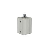 Korte RIEGLER Korte cilinder »ACQ« dubbelwerkende magneet, IG, zuiger Ø 12, hub 5, aansluiting M5x0,8, werkdr. 1-10 bar, temp. -20 °C tot 70 °C