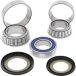 All Balls Racing Conische stuurkogelset 22-1060