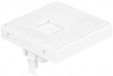 DEXLAN Plaque murale pour 1 x keystone RJ45 - 45 x 45 mm