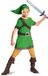 Disguise Vegaoo - Link Zelda klassiek kinderkostuum