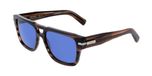 Ferragamo SF2070S Striped brown 56/18/150 MAN Zonnebrillen
