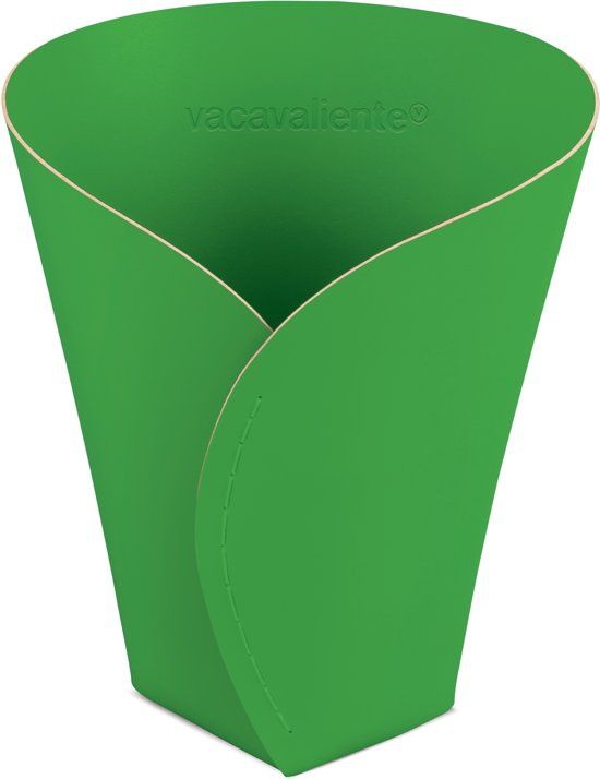 Vacavaliente VA 751862 Groen Home Accents Opbergmand