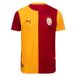 PUMA Galatasaray S.K. 26/27 Authentic Home Shirt Homme Rouge S