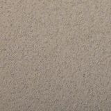 Clairefontaine 90856C Setje Etival Color Papier - 5 Vellen Champagne Tekenpapier met Korrel - A4 21x29,7 cm 160g