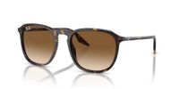 Ray-Ban RB2203 1392-0A Braun
