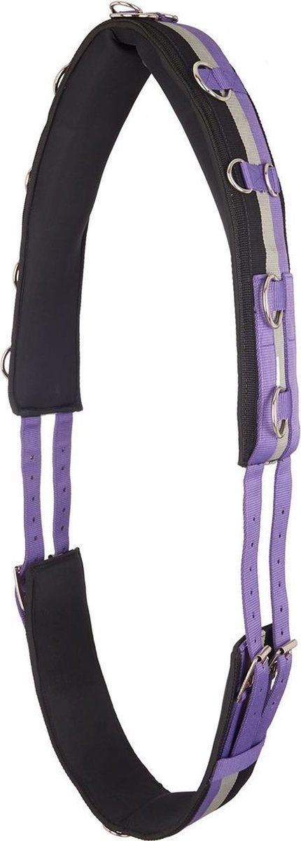 Imperial Riding Longeersingel Neon - Purple - full