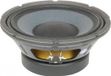 Eminence DELTA-10A