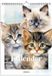Fabrikten Verjaardagskalender Katten - A4 - Kattenillustraties