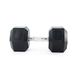 Athlyt - Hex Halter, 25 kg - 1 stuk