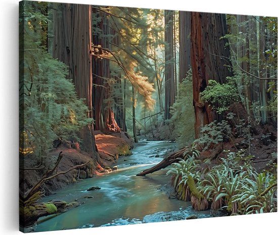 Artaza Canvas Schilderij Stroom loopt door de Sequoia's - 60x40 cm - Canvas Print