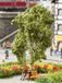 Noch 21642 Boom met Circular Bench Landscape Modelling