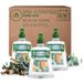 Air Wick Désodorisant Maison Spray Automatique Sans Gaz Active Fresh - 3 Recharges Parfum Bois de Cèdre & Eucalyptus