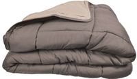 TOISON D'OR Couette bicolore en microfibre 400 gr/m2 140x200 cm