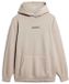 Superdry - Heren Hoodie met Losse Pasvorm en Klein Logo - Chateau Gray - XL