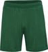 Hummel Hmlarchive Regular Shorts 228520