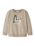 NAME IT NMMNILIUS LS NREG SWE BRU PB Jongens Sweater 104