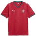 Puma Portugal 25/26 FPF Home Replica Jersey Heren 3XL