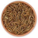 CJ Wildlife 2kg Gedroogde Meelwormen voor Vogels