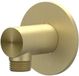 Sanibell IVY Sortie murale 1/2 pouce - Acier inoxydable 316 brossé mat or