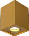 Lucide TUBE - Plafondspot - 1xGU10 - Mat Goud / Messing