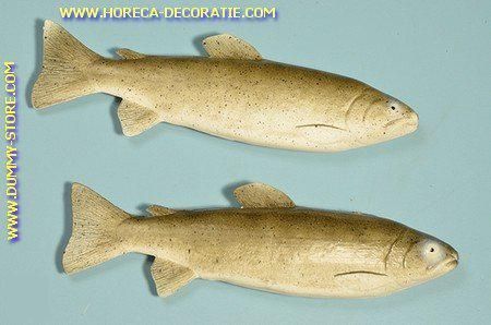 Horeca-decoratie.com Forel 2 stuks - 330x90 mm - Visdummy