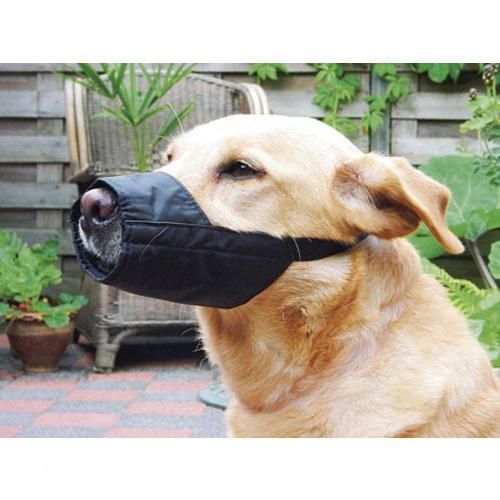 Beeztees Veiligheidsmuilband - S - 12cm - Zwart