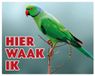 Stickerkoning.nl Halsbandparkiet Waakbord - Hier Waak Ik