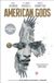 Shadows: American Gods Shadows Hardcover