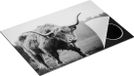 Chefcare Inductie Beschermer Schotse Hooglander - Zwart Wit - 75x50 cm