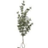 Dijk Natural Collections Dennentak 62x25x9cm groen