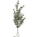 Dijk Natural Collections Dennentak 62x25x9cm groen
