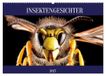 INSEKTENGESICHTER CALVENDO INSEKTENGESICHTER (Wandkalender 2027 DIN A2 quer)