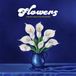 Flowers Durand Jones & The Indications - Flowers (LP)