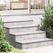 VidaXL Trapmatten 2 st 100 x 25 cm zilver aluminium rechthoekig