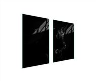 TMK ArtDeko Snijplank Glas 65x52 cm Hond