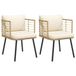 VidaXL Tuinstoelen 2 st met kussens poly rattan naturel
