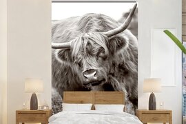 Nr1Wallpaper Behang - Fotobehang Schotse Hooglander - Zwart - Wit - Hoorns - Breedte 195 cm x hoogte 300 cm