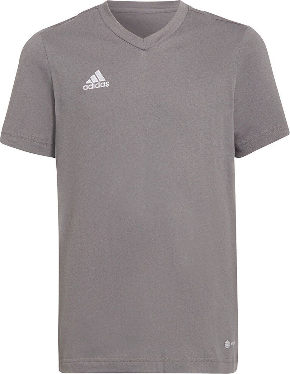 Adidas ENT22 Tee Y Team Grey Four