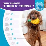 Outward Hound Dental Pineapple
