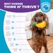 Outward Hound Dental Pineapple
