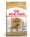 Royal Canin Golden Retriever Adult Hondenvoer - 15 kg
