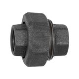 Riegler TFV 340-114-S conisch dicht, Rp 1 1/4, zwart, -20 °C tot 300 °C