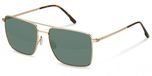 SUNGLASSES Rodenstock R1448 Gold, Havana 59/17/145 Man Zonnebrillen