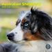 Baker & Bray Australian Shepherd Kalender 2027
