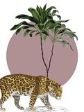 Komar Wandfoto - Botanical Garden Jaguar - 30 x 40 cm