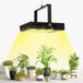 Shenzhen Haorui Industrial Technology Co., Ltd. Supports d'impression en bois
