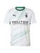 PUMA Tricot 'Borussia Mönchengladbach 2026/27' groen / rood / zwart / wit