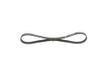 Bosch 1 987 946 107 Poly Rib Riem