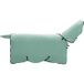 Couverture de cheval Vert Spécial Polyester